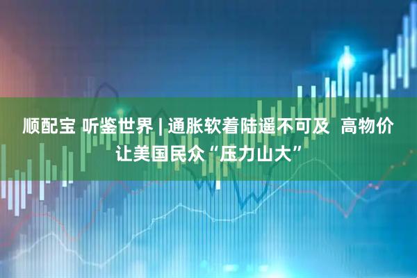 顺配宝 听鉴世界 | 通胀软着陆遥不可及  高物价让美国民众“压力山大”