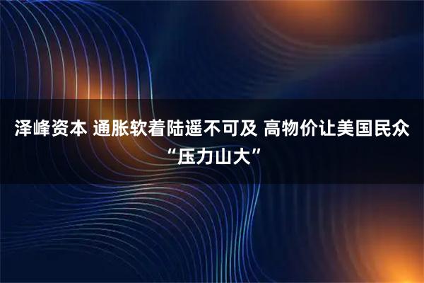 泽峰资本 通胀软着陆遥不可及 高物价让美国民众“压力山大”