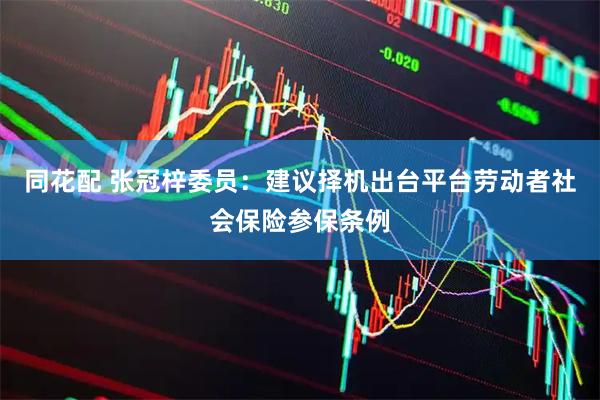 同花配 张冠梓委员：建议择机出台平台劳动者社会保险参保条例