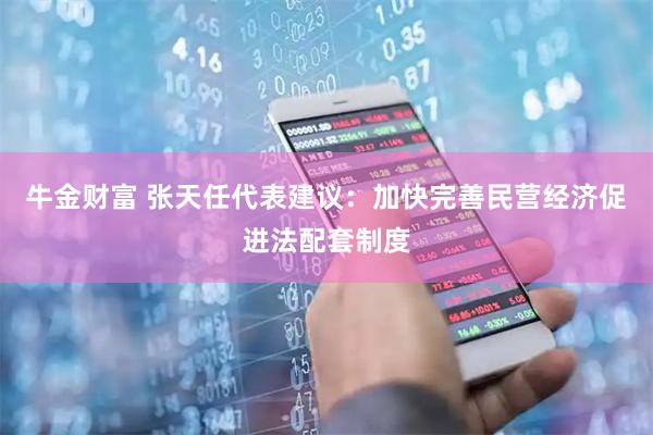 牛金财富 张天任代表建议：加快完善民营经济促进法配套制度