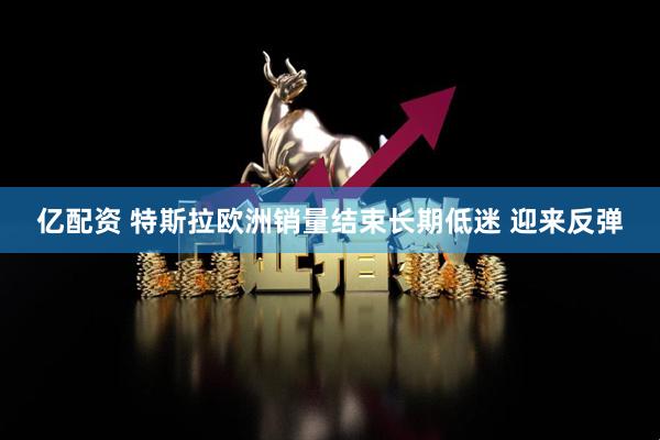 亿配资 特斯拉欧洲销量结束长期低迷 迎来反弹