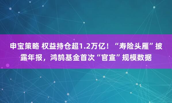 申宝策略 权益持仓超1.2万亿！“寿险头雁”披露年报，鸿鹄基金首次“官宣”规模数据