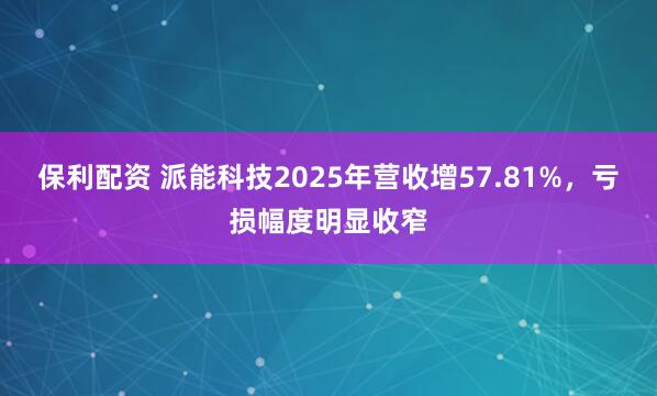 保利配资 派能科技2025年营收增57.81%，亏损幅度明显收窄
