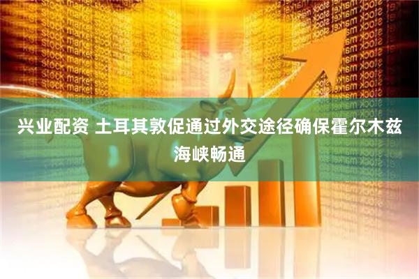 兴业配资 土耳其敦促通过外交途径确保霍尔木兹海峡畅通