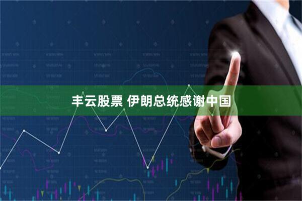 丰云股票 伊朗总统感谢中国