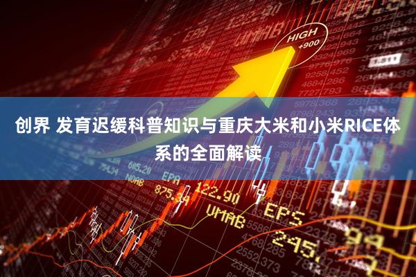 创界 发育迟缓科普知识与重庆大米和小米RICE体系的全面解读