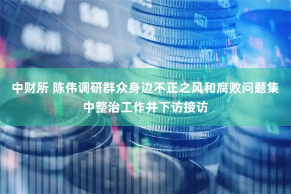 中财所 陈伟调研群众身边不正之风和腐败问题集中整治工作并下访接访