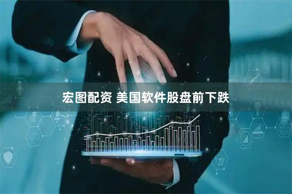 宏图配资 美国软件股盘前下跌