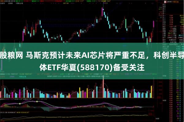 股粮网 马斯克预计未来AI芯片将严重不足，科创半导体ETF华夏(588170)备受关注