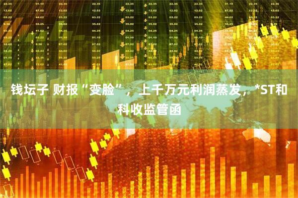 钱坛子 财报“变脸”，上千万元利润蒸发，*ST和科收监管函