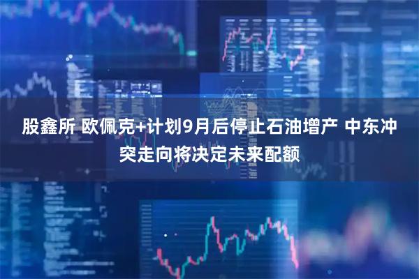 股鑫所 欧佩克+计划9月后停止石油增产 中东冲突走向将决定未来配额
