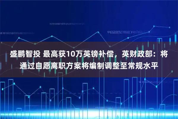 盛鹏智投 最高获10万英镑补偿，英财政部：将通过自愿离职方案将编制调整至常规水平