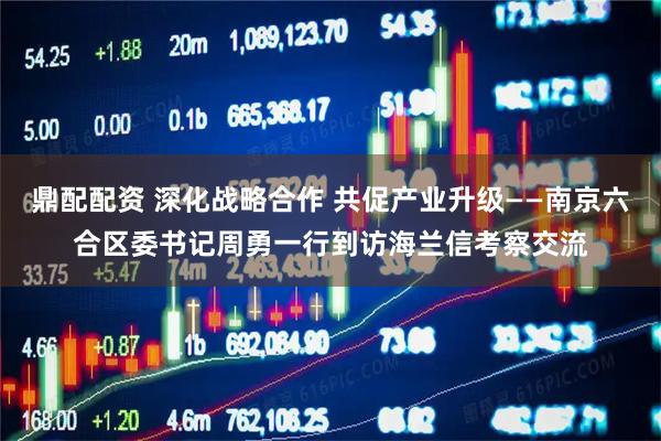 鼎配配资 深化战略合作 共促产业升级——南京六合区委书记周勇一行到访海兰信考察交流