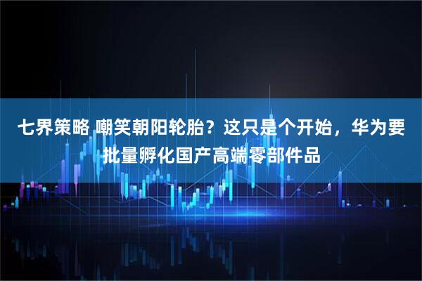 七界策略 嘲笑朝阳轮胎？这只是个开始，华为要批量孵化国产高端零部件品