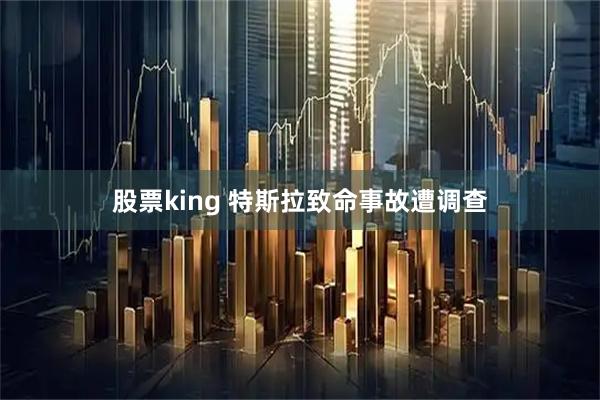 股票king 特斯拉致命事故遭调查