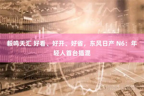 毅鸣天汇 好看、好开、好省，东风日产 N6：年轻人首台插混