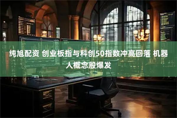 纯旭配资 创业板指与科创50指数冲高回落 机器人概念股爆发