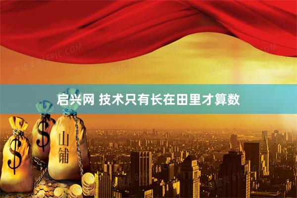 启兴网 技术只有长在田里才算数